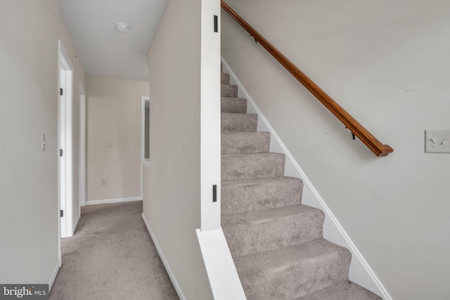 730 Farmwood Ln, Lebanon, PA 17042 - stairs featuring carpet and baseboards