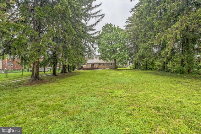 755 Shawmont Ave, Philadelphia, PA 19128 - view of green lawn