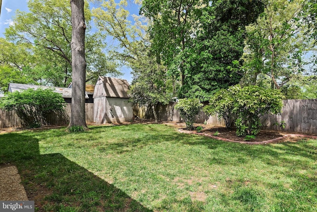 111 Linden Ave, Pasadena, MD 21122 - view of yard with a fenced backyard, an outdoor structure, and a shed