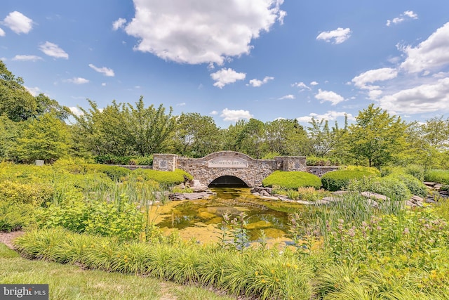 109 Manila Pl, Stephenson, VA 22656 - view of yard with a garden pond