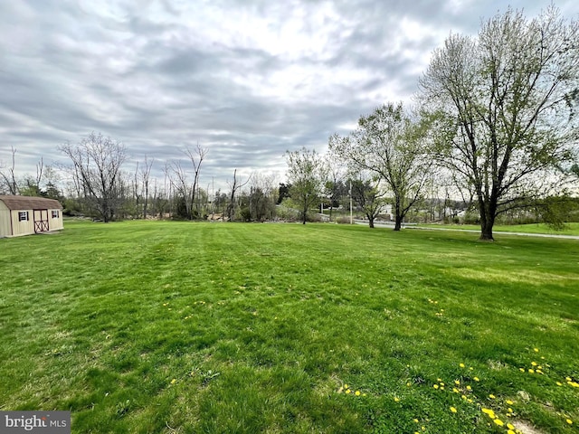 11 Morlatton Rd, Douglassville, PA 19518 - view of green lawn featuring an outbuilding and a shed