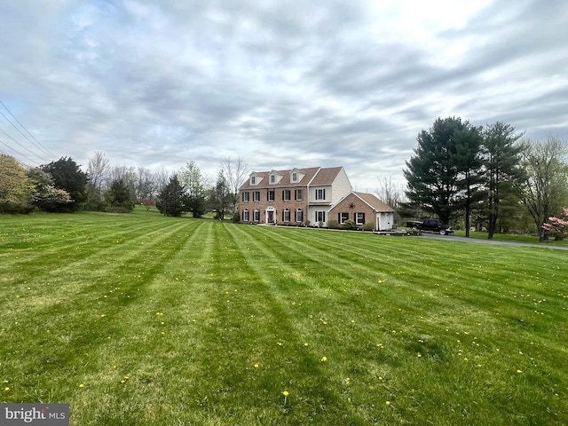 view of yard