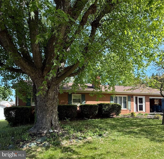 view of front facade with a front lawn and brick siding