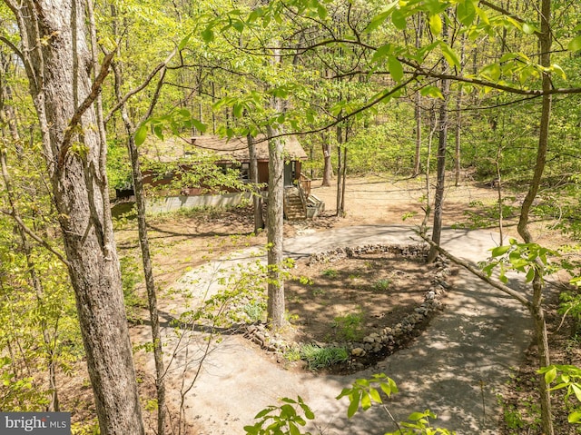 view of yard with a forest view