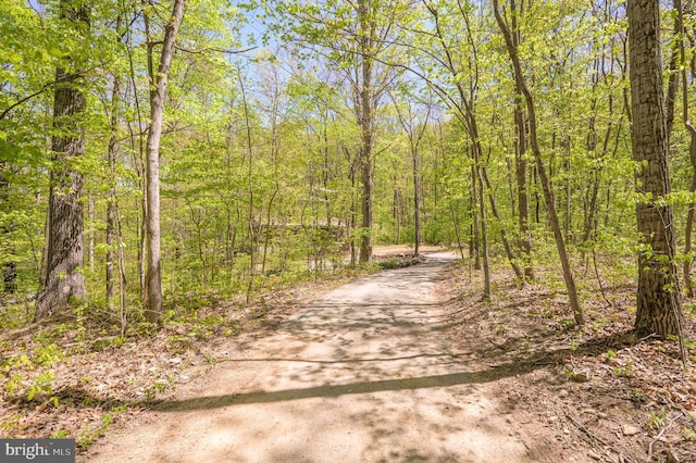 view of road with a view of trees