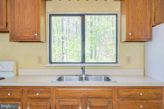 kitchen with a sink, a healthy amount of sunlight, and light countertops