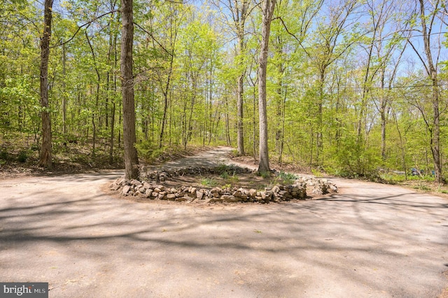 view of street featuring a view of trees