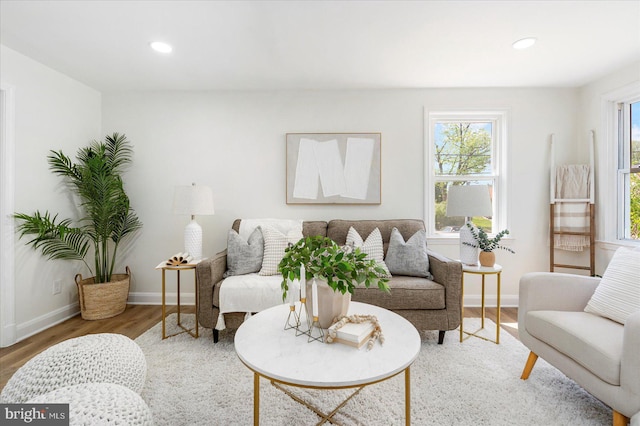 living room with recessed lighting, baseboards, and wood finished floors
