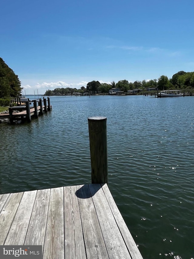 dock area with a water view