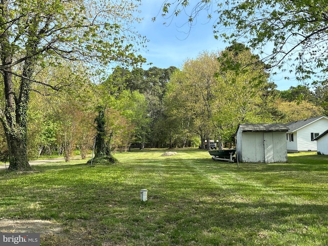 view of yard with a storage shed and an outbuilding