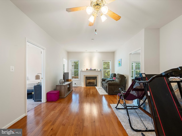 628 Allegheny Cir, Woodstock, VA 22664 - living room featuring wood finished floors, a fireplace, ceiling fan, and baseboards