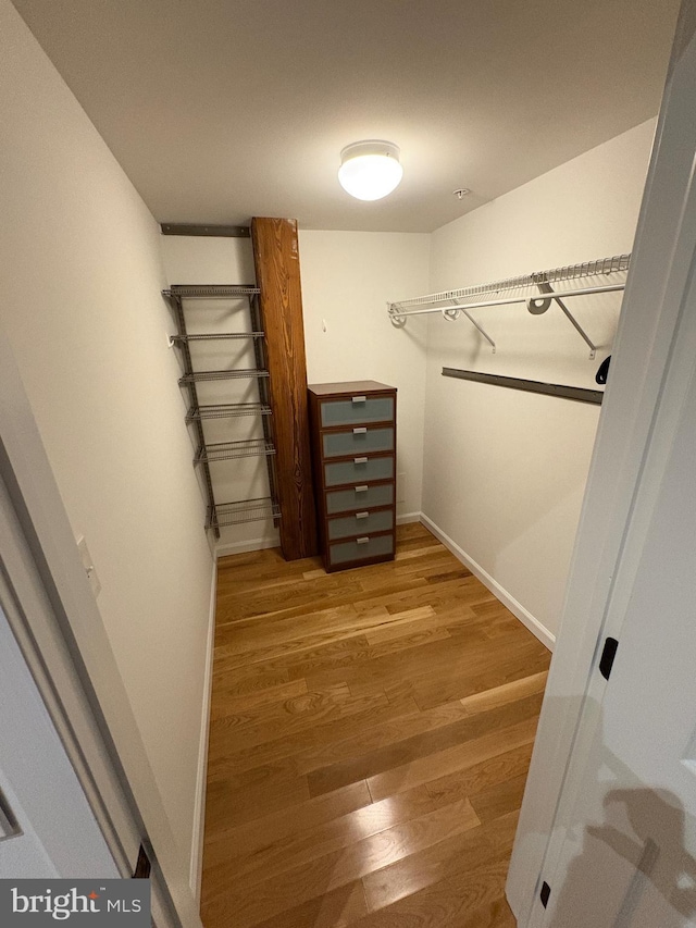 374 Shurs Unit 203, Philadelphia, PA 19128 - spacious closet with wood finished floors