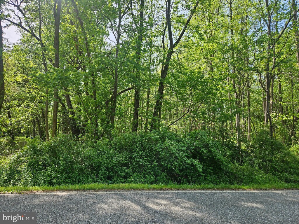 0 Cemetery Rd, Woodstown, NJ 08098