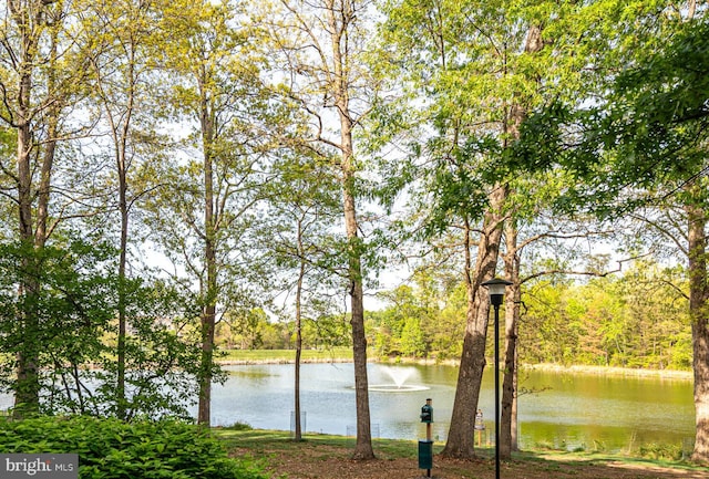 1720 Lake Shore Crest Dr Unit 35, Reston, VA 20190 - view of water feature