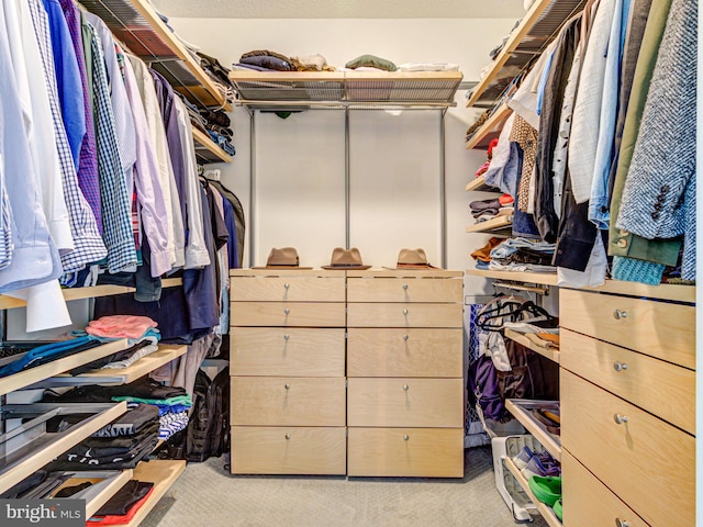 1720 Lake Shore Crest Dr Unit 35, Reston, VA 20190 - walk in closet with carpet flooring