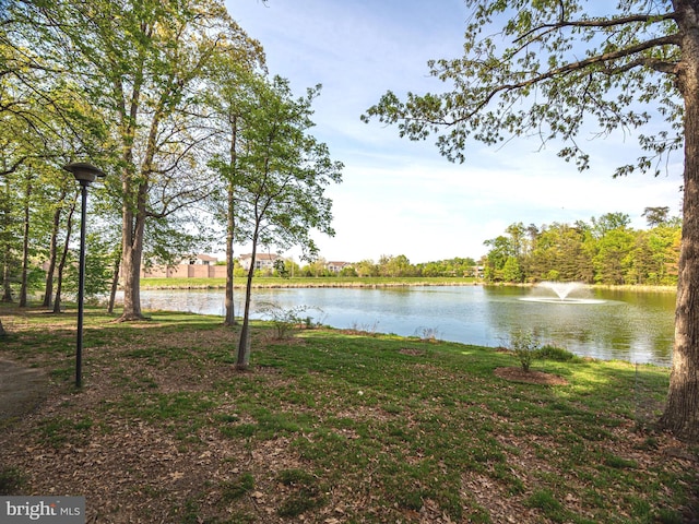 1720 Lake Shore Crest Dr Unit 35, Reston, VA 20190 - water view