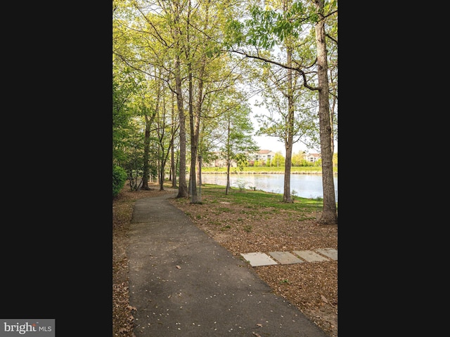 1720 Lake Shore Crest Dr Unit 35, Reston, VA 20190 - view of property's community featuring a water view and driveway