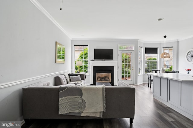 327 Amy Way, Riverton, NJ 08077 - living room with plenty of natural light, ornamental molding, a fireplace, dark wood finished floors, and baseboards