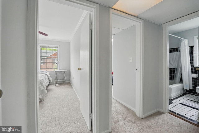 6618 Boulevard Vw Unit C1, Alexandria, VA 22307 - hallway featuring carpet and ornamental molding