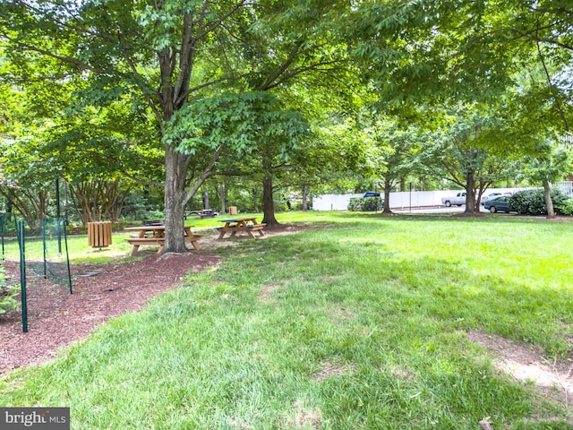 6618 Boulevard Vw Unit C1, Alexandria, VA 22307 - view of yard
