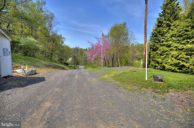 view of street with a forest view