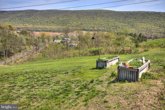 view of yard with a mountain view and a vegetable garden