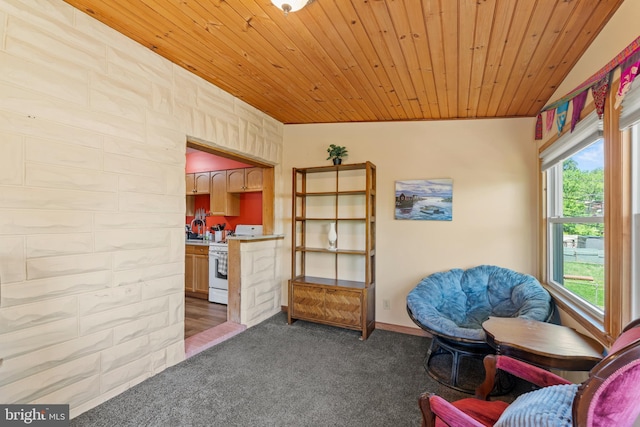 sitting room with dark colored carpet, wood ceiling, and baseboards