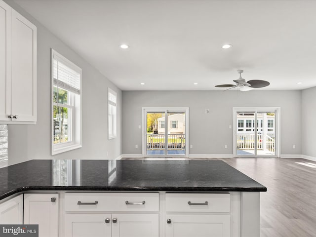 36986 Blue Teal Rd, Selbyville, DE 19975 - kitchen featuring a ceiling fan, recessed lighting, and open floor plan