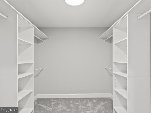 36986 Blue Teal Rd, Selbyville, DE 19975 - spacious closet with carpet floors