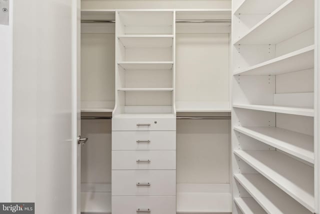view of walk in closet