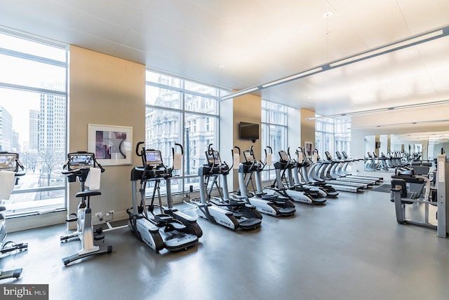 workout area with expansive windows