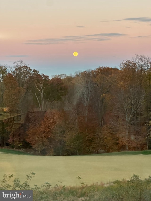 view of nature at dusk