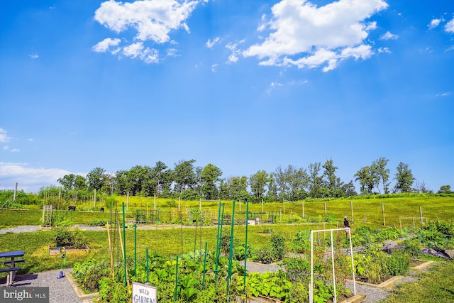 17438 Southern Shores Dr, Dumfries, VA 22026 - view of yard with a garden and fence