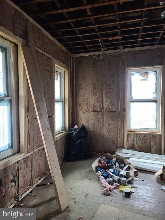misc room with a wealth of natural light