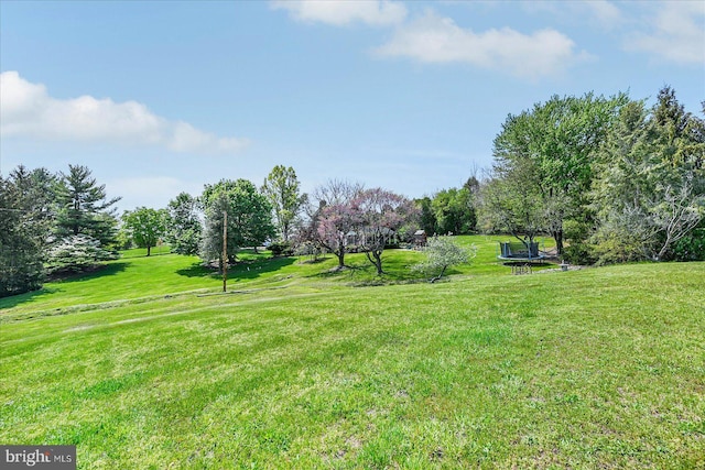 739 Lefever Rd, Thomasville, PA 17364 - view of yard