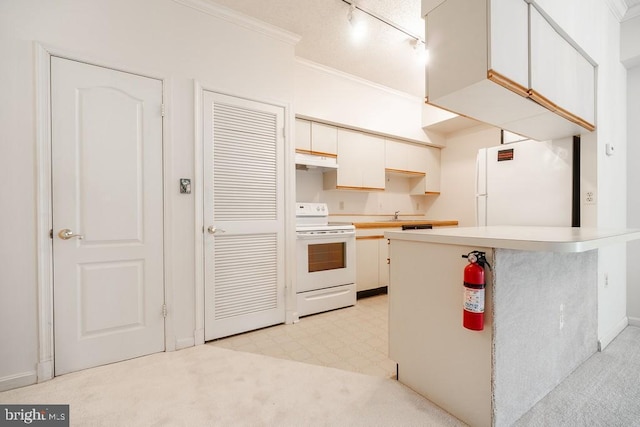 1211 S Eads St S Unit 401, Arlington, VA 22202 - kitchen with white appliances, under cabinet range hood, track lighting, crown molding, and light countertops