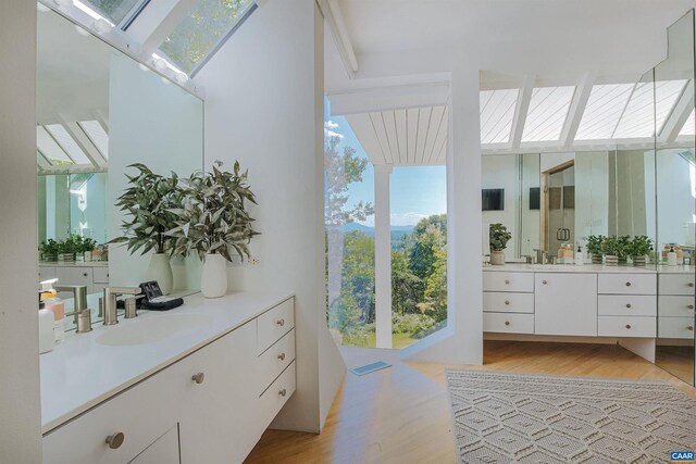 bathroom with a skylight, plenty of natural light, a sink, and wood finished floors