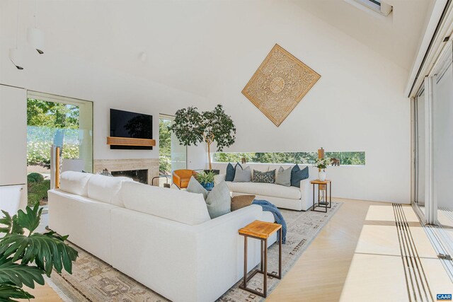 living area featuring a fireplace, wood finished floors, and a towering ceiling