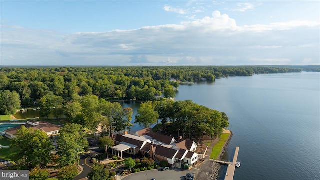 drone / aerial view featuring a view of trees and a water view