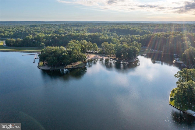 bird's eye view with a water view and a wooded view