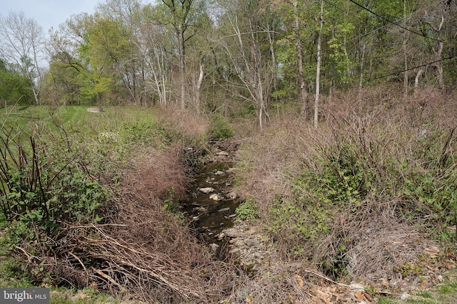 300 Rock Run Cir, Broomall, PA 19008 - view of nature
