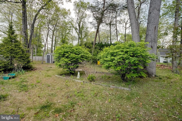 view of yard with a storage shed, fence, and an outbuilding