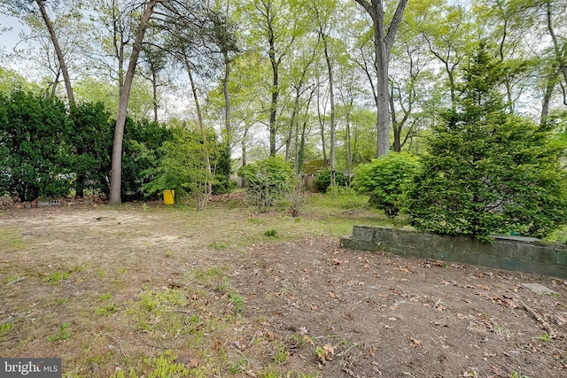 view of yard
