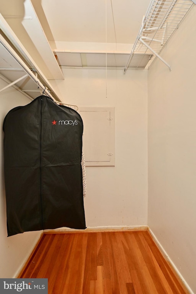 spacious closet with light wood-type flooring