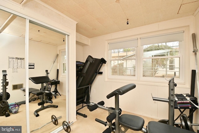 exercise room featuring a wealth of natural light, carpet flooring, and visible vents