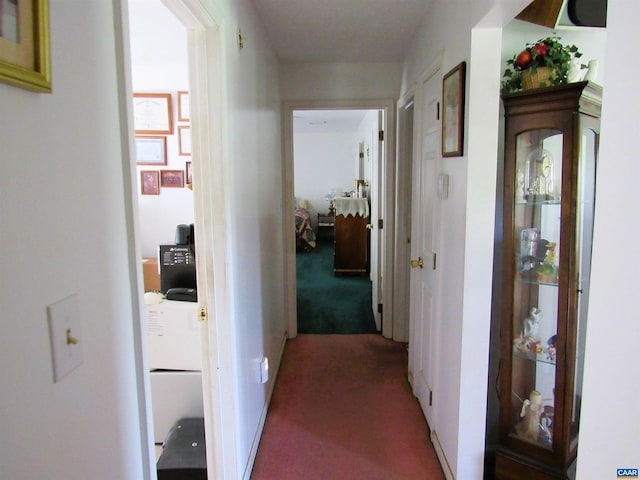 hall featuring carpet flooring