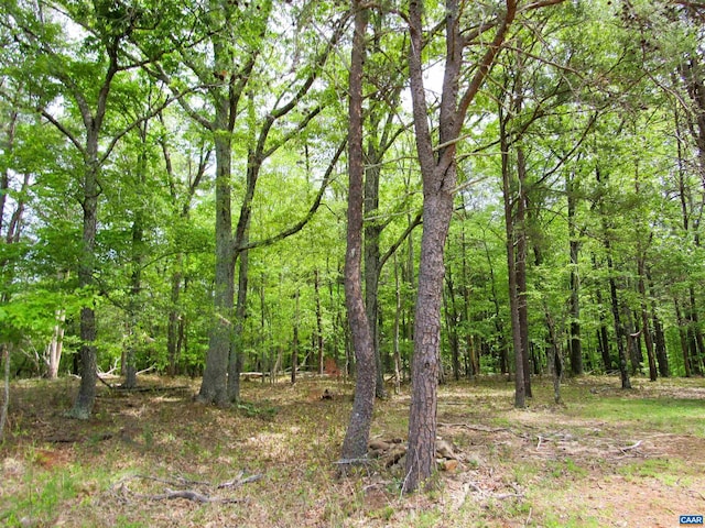 view of landscape featuring a view of trees