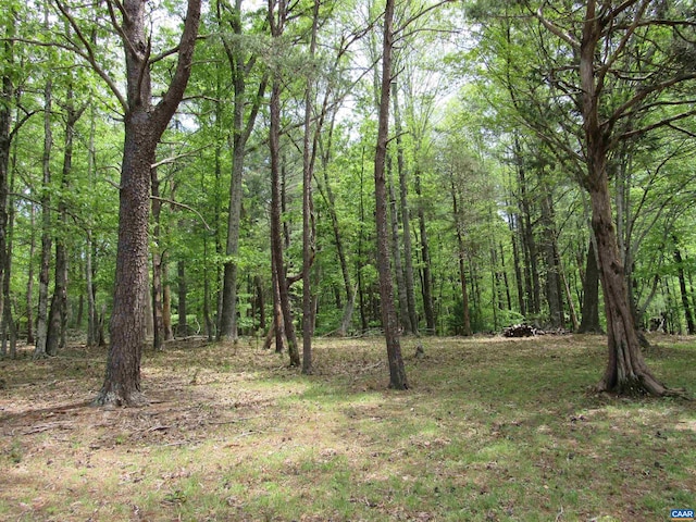 view of nature featuring a forest view