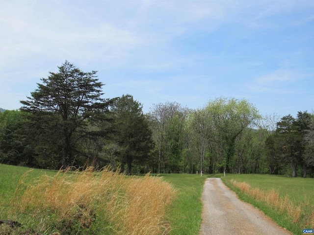 view of road featuring a view of trees