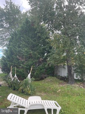 25 Bucknell Rd, Somers Point, NJ 08244 - view of grassy yard